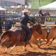 Semana do Cavalo Feira de negócios equestre movimenta economia e atrai expositores em Cuiabá