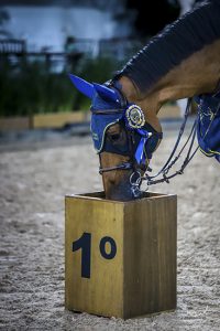 Sociedade Hípica Paulista será palco do 8º SHP Open e o 1º Concurso de Salto Nacional 5*