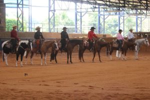 Vitória histórica do Paint Horse na 2ª Etapa do Campeonato Brasileiro de Western Pleasure