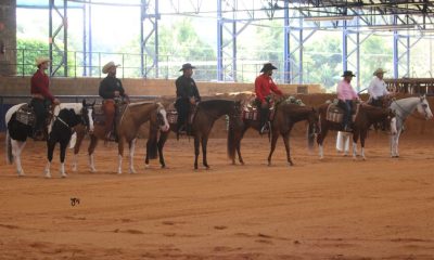 Vitória Histórica do Paint Horse na 2ª Etapa do Campeonato Brasileiro de Western Pleasure