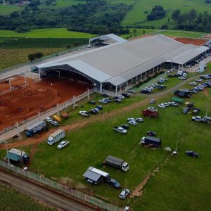 Ziran Ranch: Valter Dias e a sua história no meio do cavalo