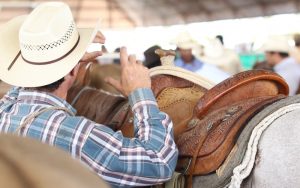 47º Campeonato Nacional do Quarto de Milha já tem programação definida