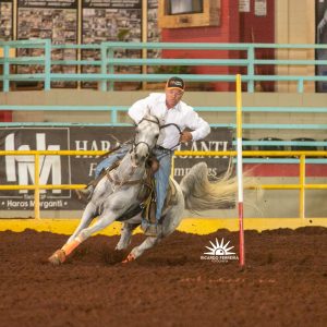 4ª etapa Copa ABCCA /ANCAF é destaque na agenda de provas equestres desta semana