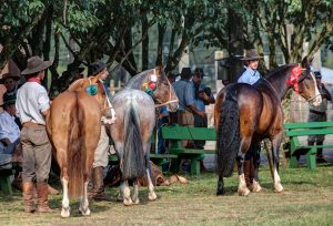 ABCCC publica nota de adiamento da Classificatória Gaúcha Sul e situação dos eventos no Rio Grande do Sul