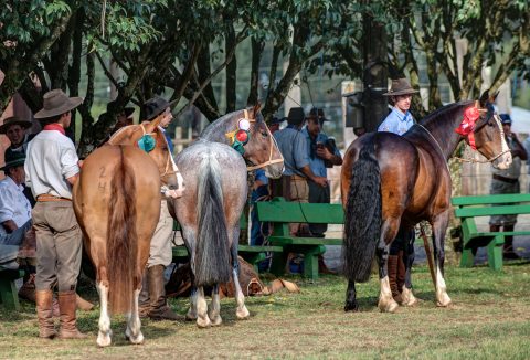 ABCCC publica nota de adiamento da Classificatória Gaúcha Sul e situação dos eventos no Rio Grande do Sul