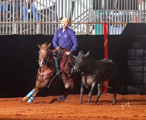 ABQM divulga o s melhores do All Around e Super Horse do 33º Congresso do Quarto de Milha