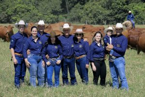 Agropecuária 3G: tradição e excelência na produção do Quarto de Milha