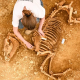 Arqueólogos encontram esqueletos de cavalos enterrados há 2 mil anos na França