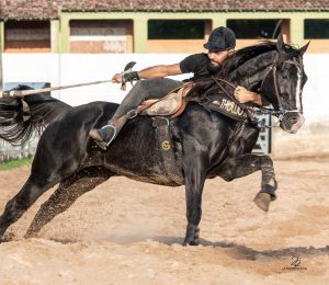 Casca de Bala: Thullio Milionário faz chegada triunfal na criação de cavalos