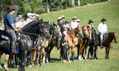 Cavalgada de Visconde de Mauá reúne exemplares da raça Campolina