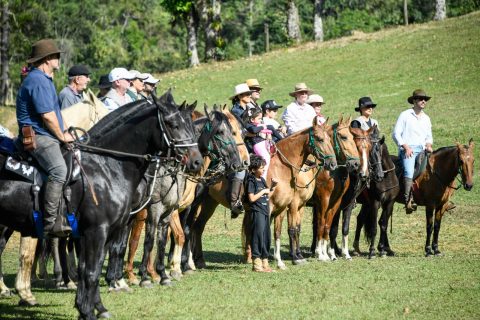 Cavalgada de Visconde de Mauá reúne exemplares da raça Campolina