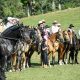Cavalgada de Visconde de Mauá reúne exemplares da raça Campolina