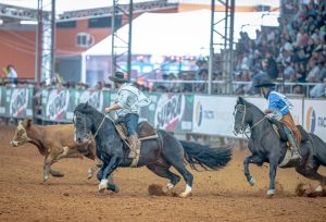 Cavalo Crioulo redefine calendário de provas após enchentes no Rio Grande do Sul