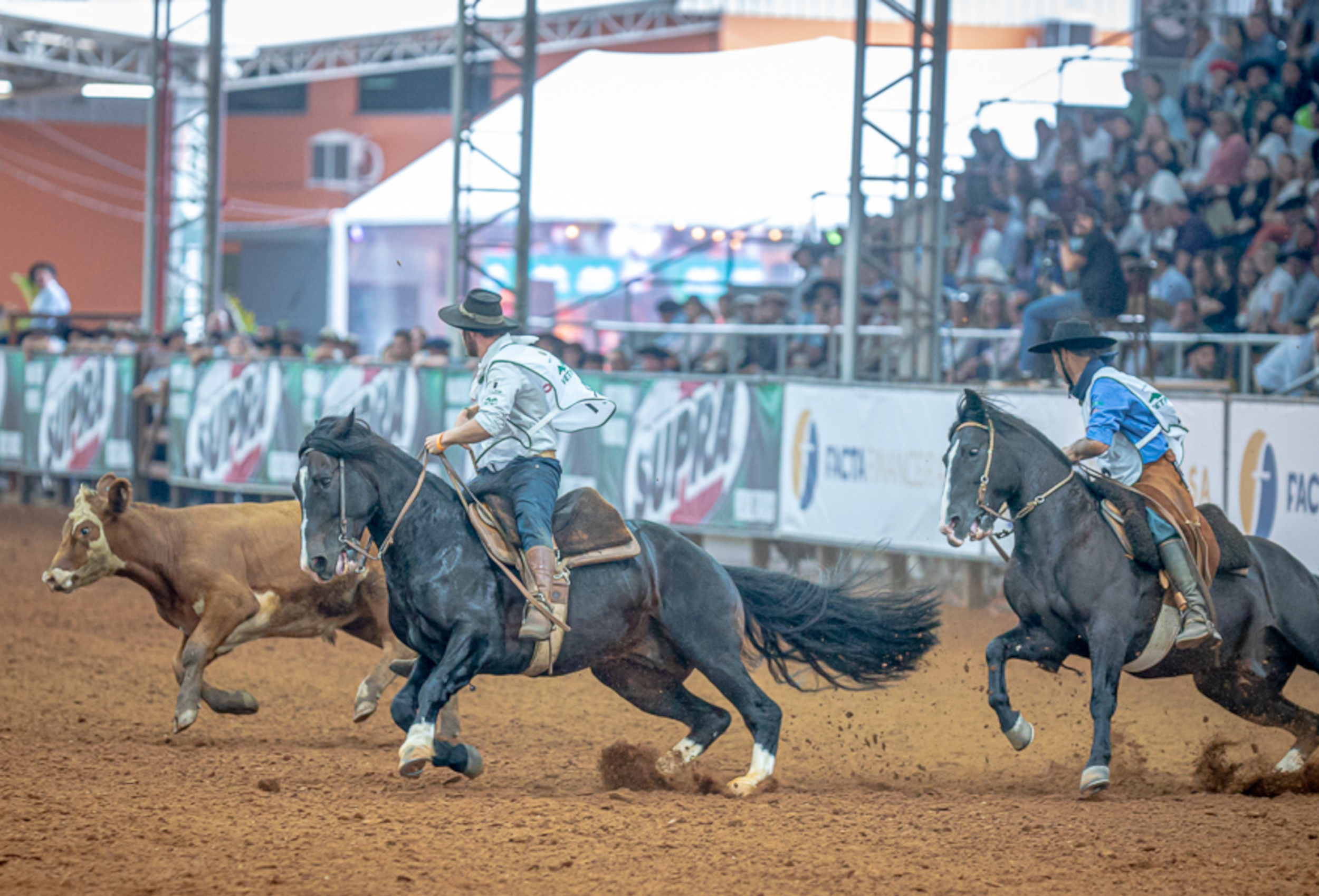 Cavalo Crioulo redefine calendário de provas após enchentes no Rio Grande do Sul