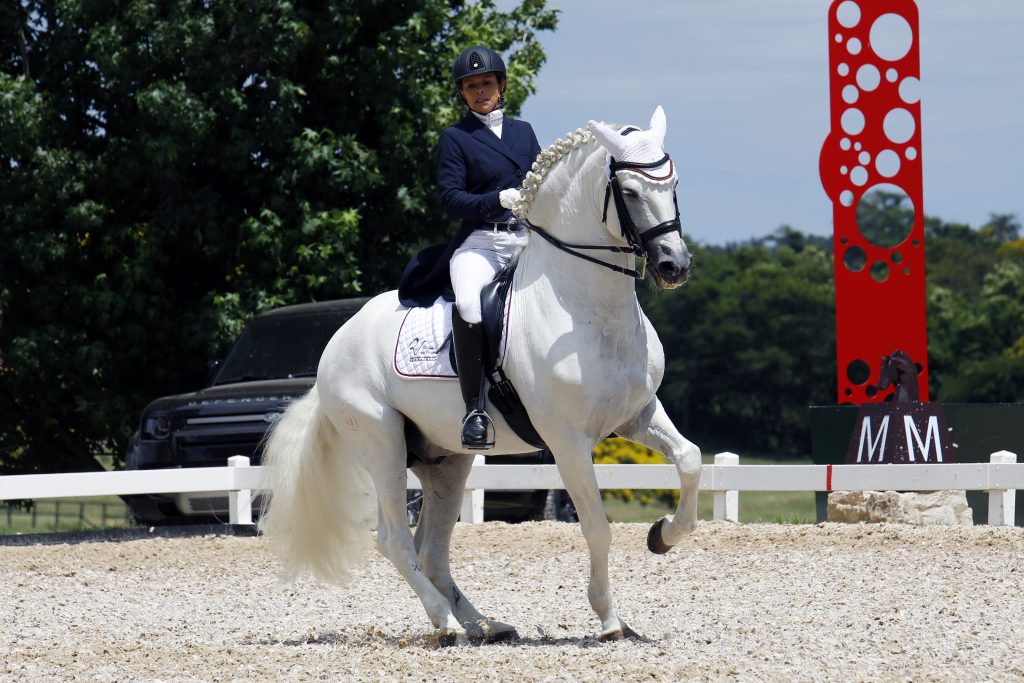 Cavalo Lusitano é atração no Parque da Água Branca em São Paulo