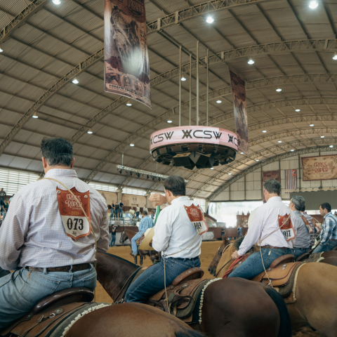 Cross Roper se consagra entre as maiores provas de Laço Individual no Brasil
