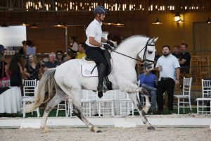 Exposição Internacional do Cavalo Lusitano de volta ao Parque da Água Branca