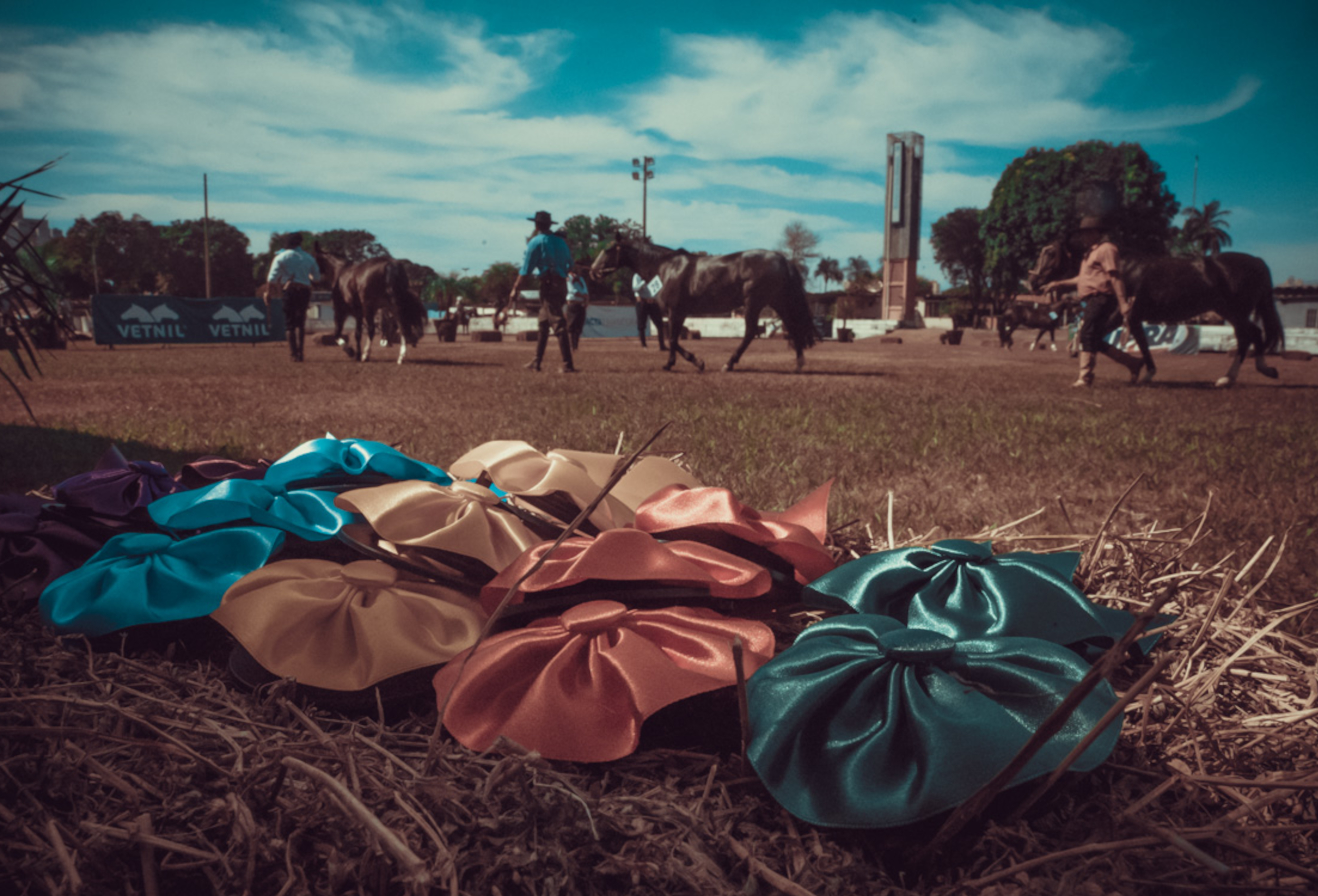 Goiás ressalta expansão do Cavalo Crioulo em evento na capital