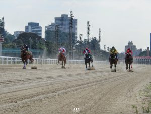 Marilia By Em Zo quebra recorde durante páreo no GP São Paulo