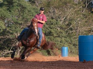 Treinamento e manutenção dos cavalos atletas de Três Tambores com recordista mundial, Edson Carlos