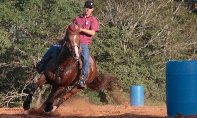 Treinamento e manutenção dos cavalos atletas de Três Tambores com recordista mundial, Edson Carlos