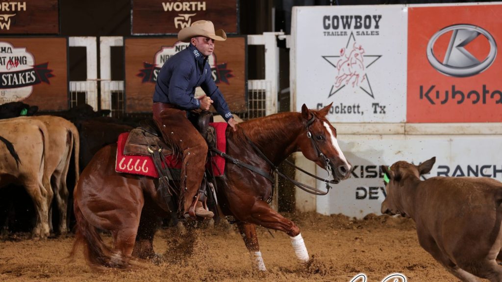 Celebridades participarão do NCHA Cutting Summer Spectacular