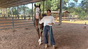 Haras Botânico alia o contato com a natureza e a praticidade da cidade