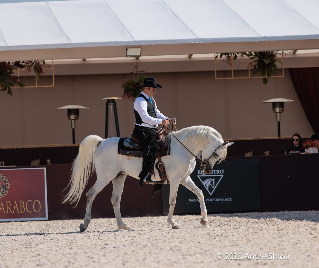 Indaiatuba será palco da 43ª Exposição Nacional do Cavalo Árabe