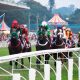 Jockey Club de São Paulo se posiciona sobre lei que proíbe corridas de cavalos em SP