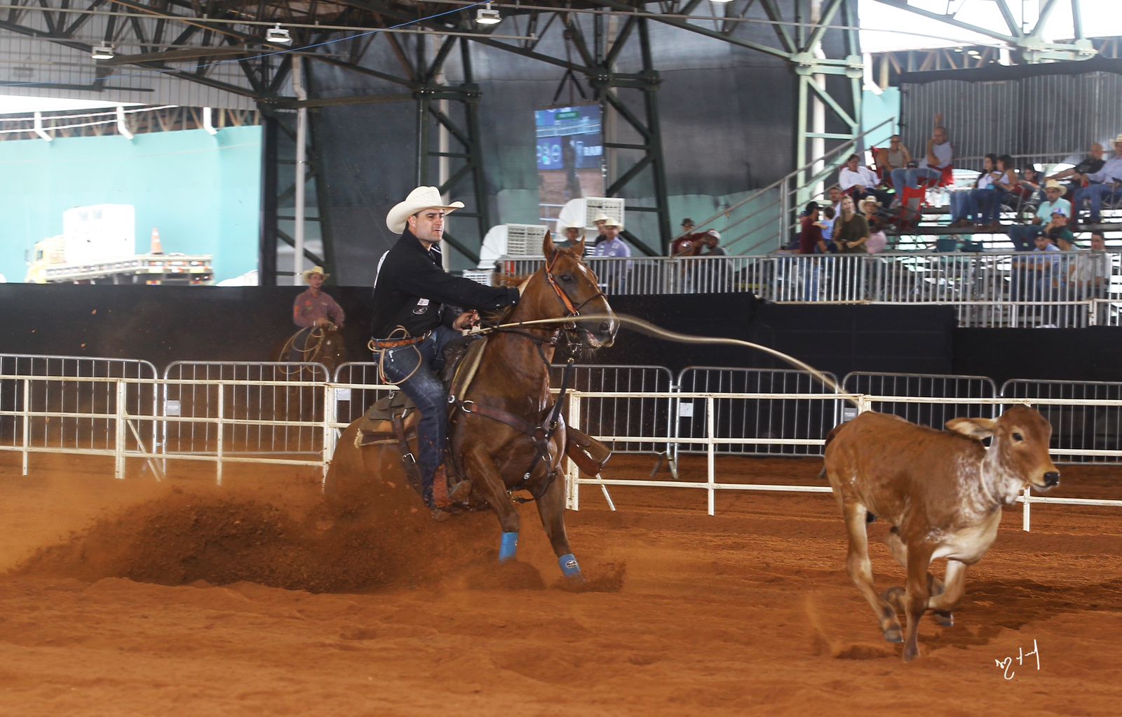 Kenny Cunha e Caipirinha Sapucaia uma dupla de muito sucesso no Laço Individual