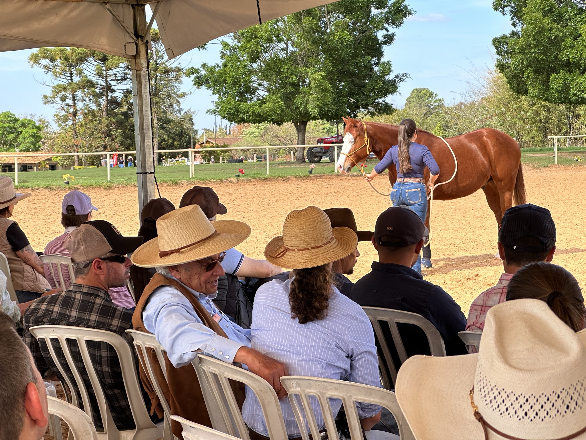 Maior encontro de Horsemanship da América Latina acontece neste final de semana