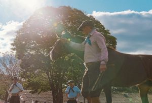 Ourinhos sediará Exposição Passaporte para a Morfologia do Cavalo Crioulo