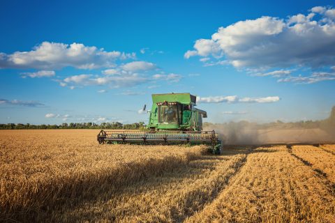 O Agronegócio Brasileiro: Pilar Econômico e Potencial Global