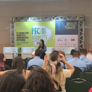Palestra da Integral Mix aborda as três principais fases de desenvolvimento dos potros