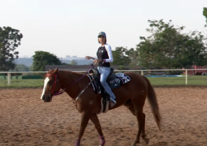 Posso treinar o cavalo duas vezes no mesmo dia?