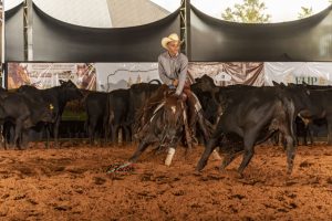 Primeira semana de julho começa a todo vapor com várias provas equestres