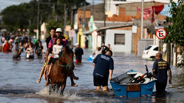 Além do Caramelo, 18 cavalos resgatados das enchentes seguem sem dono