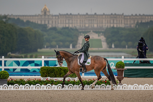 Cavalos de Hipismo valem milhões e têm seguro de carro de luxo