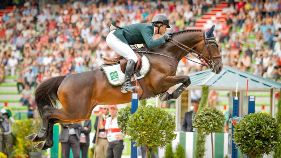 Cavalos do Brasil em Paris 2024: viagem dos animais exige cuidados especiais