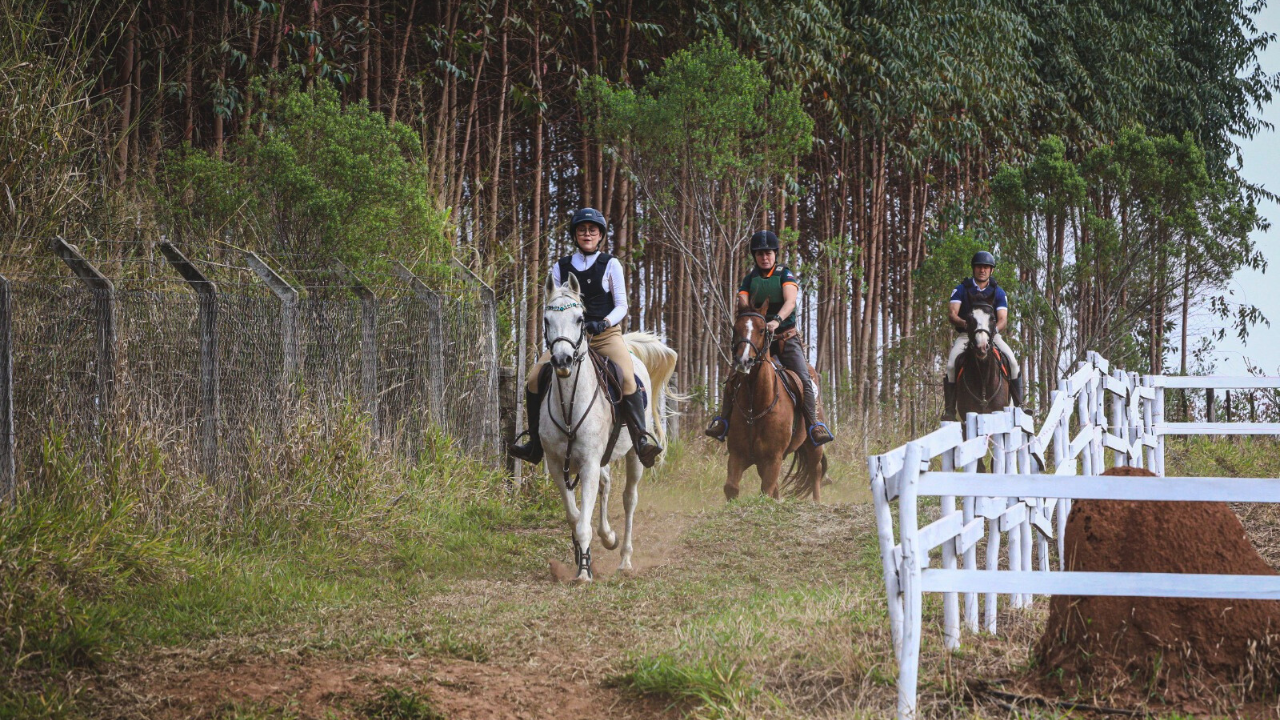 Clínica de Hipismo Rural Completo reúne cavaleiros da raça Árabe em Botucatu