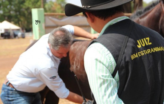 Compromisso com o Bem-Estar Animal é um dos pilares da ABQM