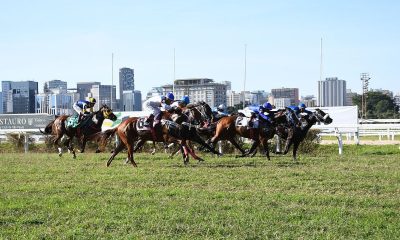 Lei que proibia apostas em corridas de cavalo em SP é suspensa pela Justiça