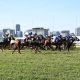 Lei que proibia apostas em corridas de cavalo em SP é suspensa pela Justiça