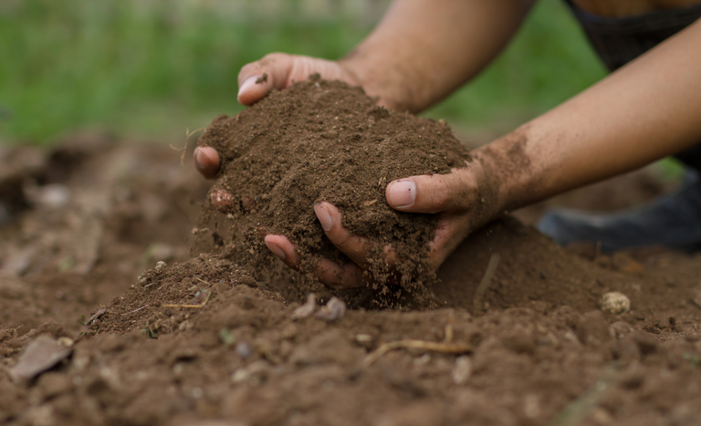 Mapa disponibiliza curso sobre saúde do solo e sustentabilidade agrícola em inglês e espanhol