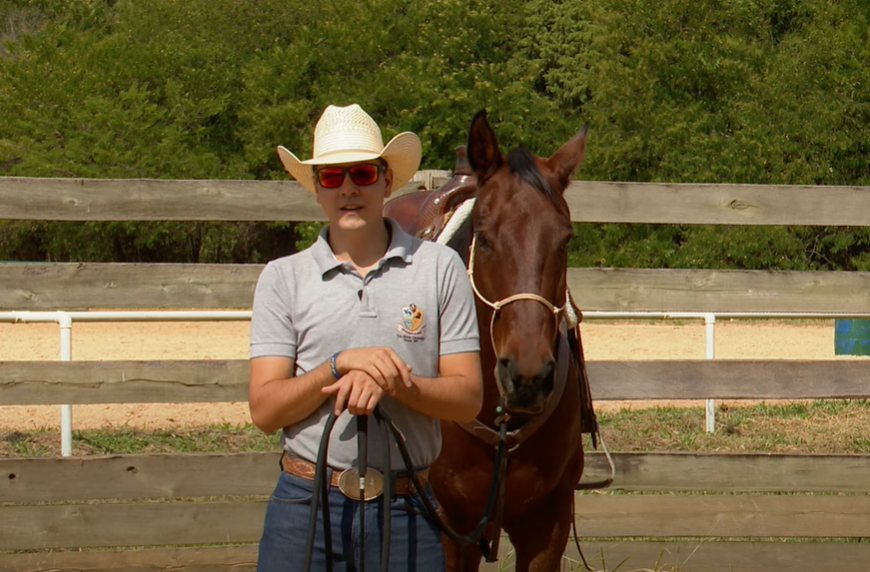 Saiba como ensinar o cavalo para você montar do alto