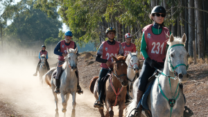 33º Campeonato Brasileiro de Enduro Equestre reúne competidores de sete países no interior de SP