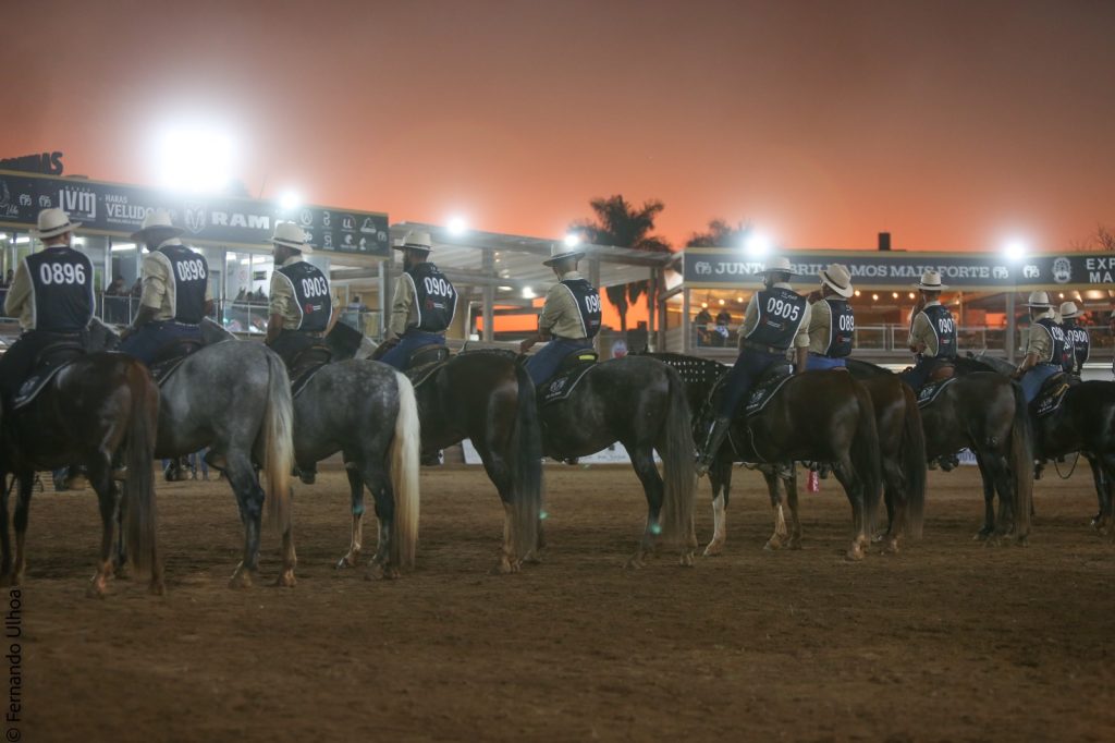 41ª Exposição Nacional do Cavalo Mangalarga Marchador movimentou a capital mineira