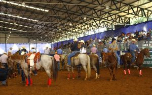 47º Campeonato Nacional do Quarto de Milha contribuiu para economia em Araçatuba