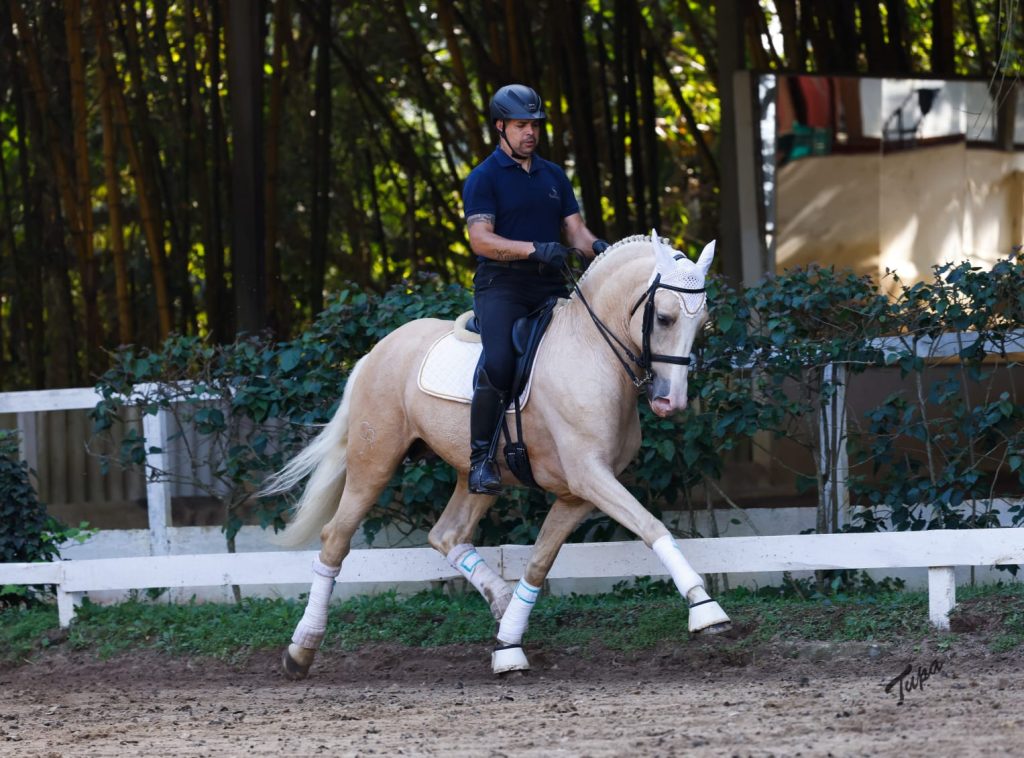 4º Leilão Genética de Campeões acontece no dia 06 de agosto