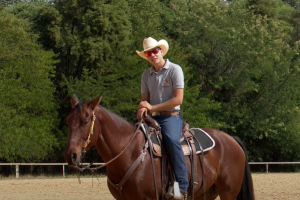 Aprenda a treinar o seu cavalo no intervalo de provas